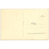 Weißenfels a.d. Saale: Saalepartie (Vintage RPPC 1936)
