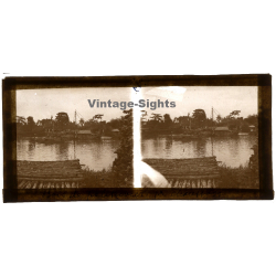 Indochina: Mangrove Trunks On River Shore / Junk (Vintage Stereo Glass Plate ~1920s/1930s)