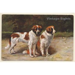 2 Bernhardiner Hunde / Saint Bernhard Dogs (Vintage PC 1909)