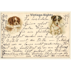 Shih Tzu & Terrier Holding Letter / Dogs (Vintage PC 1898)