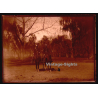 2 Soldiers On Horses / Saber - Cavalry - WW1 (Vintage Glass Plate Negative ~1910s)