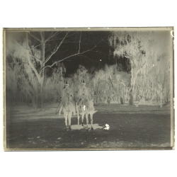 2 Soldiers On Horses / Saber - Cavalry - WW1 (Vintage Glass Plate Negative ~1910s)