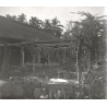 Indochina: Plants Drying On Porche Of Bamboo Hut (Vintage Stereo Glass Plate ~1920s/1930s)