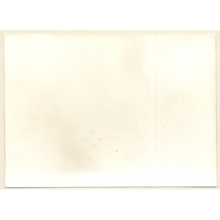 Erotic Study: Upper Body Of Natural Longhaired Nude On Meadow (Vintage Photo GDR ~1970s/1980s)