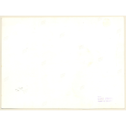 Mallorca: Detail Of Dry Stone Wall / Piedra Seca - Marés (Vintage Photo ~1960s)