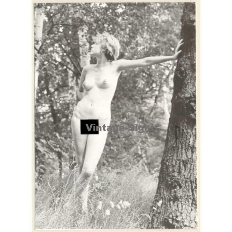 Erotic Study: Slim Natural Nude In Forest*1 / Standing (Vintage Photo GDR ~1970s/1980s)