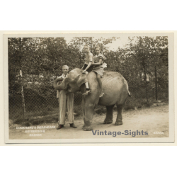 Rhenen / NL: Ouwehand's Dierenpark - Elephant Berga (Vintage RPPC 1934)