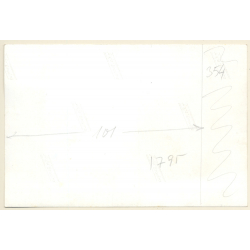 Mallorca: Horse Powered Rural Water Well / Pozo De Aqua (Vintage Photo ~1960s)