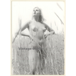 Erotic Study: Natural Nude Blonde In Reeds*1 (Vintage Photo GDR ~1970s/1980s)