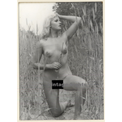 Erotic Study: Natural Nude Blonde In Reeds*3 (Vintage Photo GDR ~1970s/1980s)