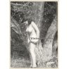 Erotic Study: Busty Semi Nude Undressing In Forest (Vintage Photo GDR ~1970s/1980s)