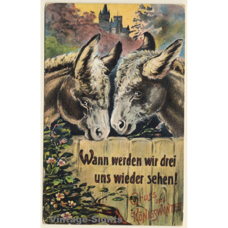 Königswinter / Germany: 2 Donkeys - Vereinslazarett (Vintage PC 1916) Königswinter / Germany: 2 Donkeys - Vereinslazarett (Vintage PC 1916)