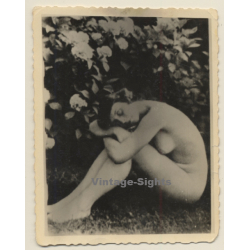 Erotic Study: Nude Female Under Rose Bush (Vintage 2nd Gen. Photo ~1930s/1940s)