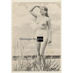 Erotic Study: Natural Nude On Beach Looks Into The Distance (Vintage 2nd Gen. Photo ~1950s)