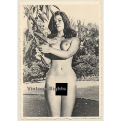Erotic Study: Pretty Brunette Nude Holding On To Plant (Vintage 2nd Gen. Photo ~1960s)