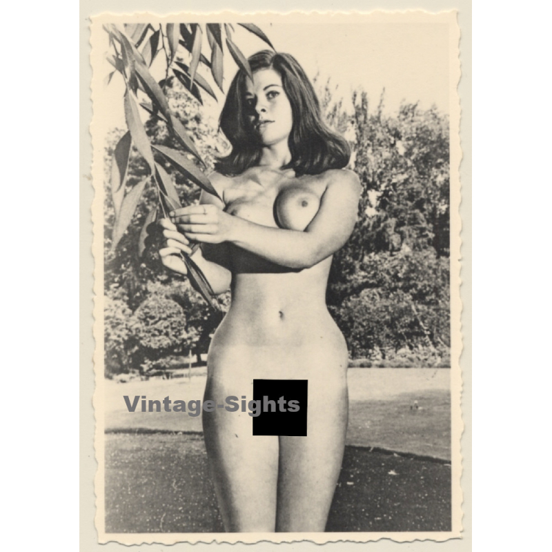 Erotic Study: Pretty Brunette Nude Holding On To Plant (Vintage 2nd Gen. Photo ~1960s)