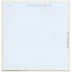 Natural Brunette Nude Female (Vintage Polaroid Test Shot WOLFGANG KLEIN 1980s)