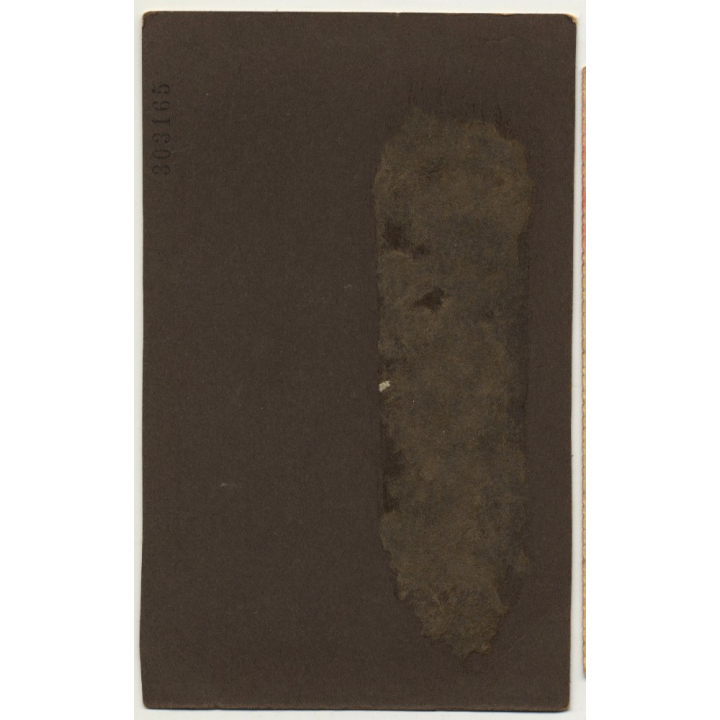 Florencio Bixio & Cia: Baby Girl & Stuffed Animal / Dog (Vintage Photo Argentina 1930s)