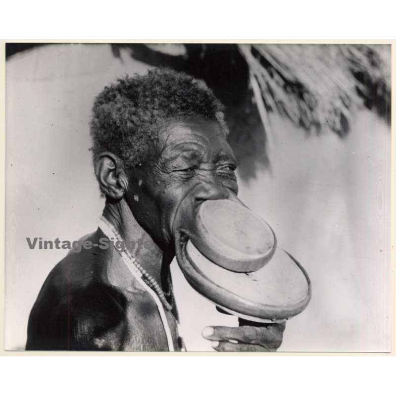 Older Tribal Woman With Large Lip Plates / Sara ? Lobi Of Chad ? Ethnic (Vintage Photo 1970s/1980s)