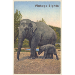 Elephant Cow & Calf / Baby (Vintage PC)