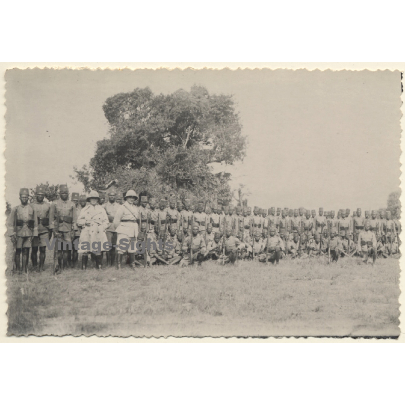 Congo Belge: 2 Colonial Masters & Large Group Of Force Publique Soldiers (Vintage Photo ~ 1930s/1940s)
