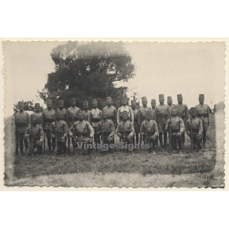 Congo Belge: Indigenous Force Publique Unit / Military Troop (Vintage Photo ~ 1930s/1940s)