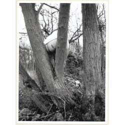 Artistic Erotic Study: Nude Female's Butt Between Trees / Forest (Vintage Photo France 31 x 23 CM 1980s)