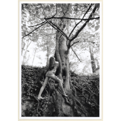 Artistic Erotic Study: Leggy Semi Nude In Front Of Impressive Tree (Vintage Photo France 31 x 21 CM 1980s)