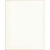 Artistic Erotic Study: Upper Body Of Longhaired Nude (Vintage XL Photo France ~30 x 24 CM 1980s)