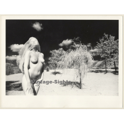 Artistic Erotic Study: Great Take Of Nude With Veil Outdoors (Vintage XL Photo France 23 x 30 CM 1980s)