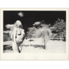 Artistic Erotic Study: Great Take Of Nude With Veil Outdoors (Vintage XL Photo France 23 x 30 CM 1980s)