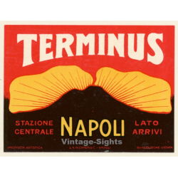 Naples / Italy: Terminus Hotel Napoli (Vintage Luggage Label RICHTER 1930s)