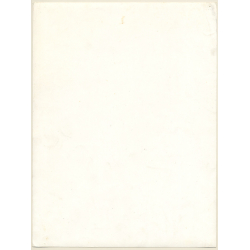 Erotic Study by Pjotr Van Moock: Upper Body Of Pretty Blonde Nude With Headscarf (Vintage XL Photo 40 x 30 CM 1980s)