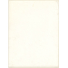 Erotic Study by Pjotr Van Moock: Upper Body Of Pretty Blonde Nude With Headscarf (Vintage XL Photo 40 x 30 CM 1980s)