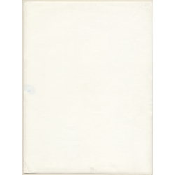 Erotic Study by Pjotr Van Moock: Nude Geisha *4 / Smile - Boobs (Vintage XL Photo 40 x 30 CM 1980s)