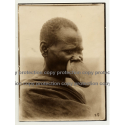 Native African Tribal Man 2 / Upper Lip Plate - Mobali? (Vintage Sepia Photo B/W ~1930s)