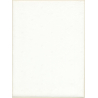 Erotic Study by Pjotr Van Moock: Slim Nude On Neon Lamp Holds Triangle (Vintage XL Photo 40 x 30 CM 1980s)