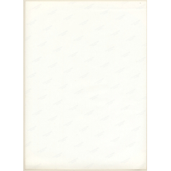 Erotic Study by Pjotr Van Moock: Blonde Nude On Floor (Vintage XL Photo 42 x 30 CM 1980s)