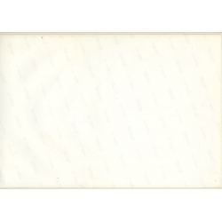 Erotic Study by Pjotr Van Moock: Upper Body Of Dreamy Nude Female (Vintage XL Photo 30 x 44 CM 1980s)
