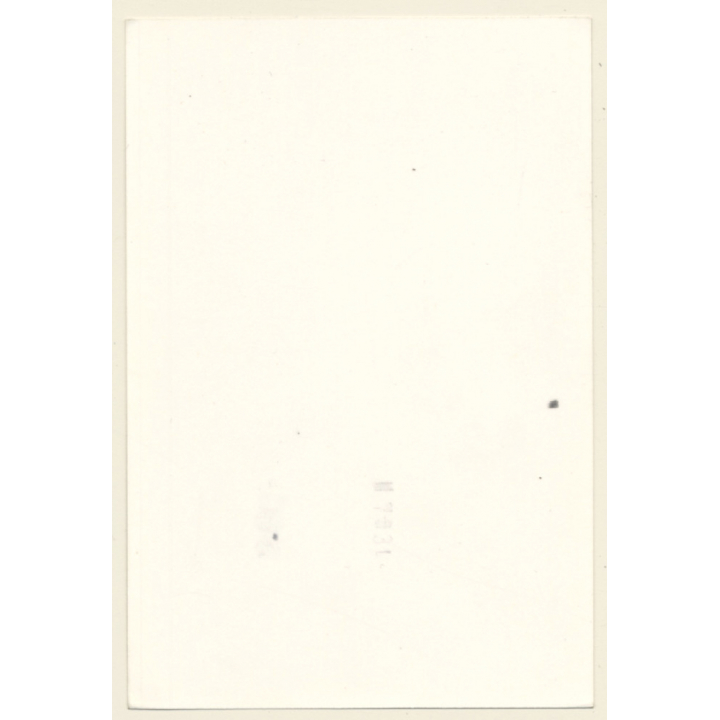 Erotic Study: Busty Topless Female Looking At Camera (Vintage Photo GDR ~1980s)