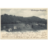 Heiligenschwendi / Switzerland: Total View (Vintage PC 1904)