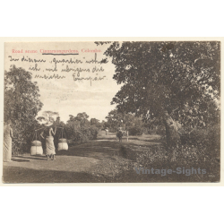 Colombo / Sri Lanka - Ceylon: Road Scene Cinnamongardens (Vintage PC 1909)