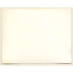 British Motocross Race Rear View  / Scramble *14 (Vintage Photo UK ~1950s)