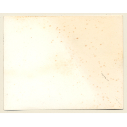 British Motocross Race N°37 N°38 Crash  / Scramble *16 (Vintage Photo UK ~1950s)