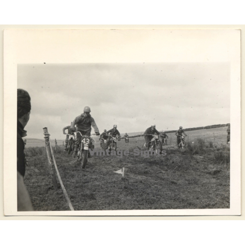 British Motocross Race N°43 N°14 N°81 N°5 / Scramble *18 (Vintage Photo UK ~1950s)
