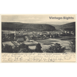 Finsterbergen / Germany: Blick vom Kurhaus Felsenstein (Vintage PC 1905)