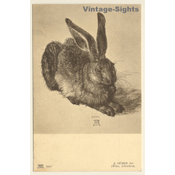 Albrecht Dürer: Young Hare / Rabbit (Vintage Artist PC 1908)