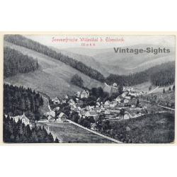 Wildenthal bei Eibenstock / Erzgebirge: Panorama View (Vintage PC 1910s)