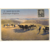 Lehnert & Landrock N°555: Caravane dans les Dunes / Camels (Vintage PC 1910s/1920s)
