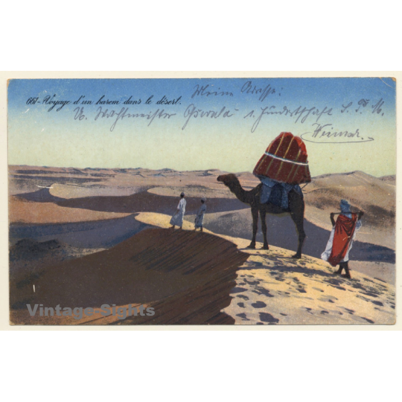 Lehnert & Landrock N°661: Voyage d'un Harem dans le Désert / Camels (Vintage PC 1916)